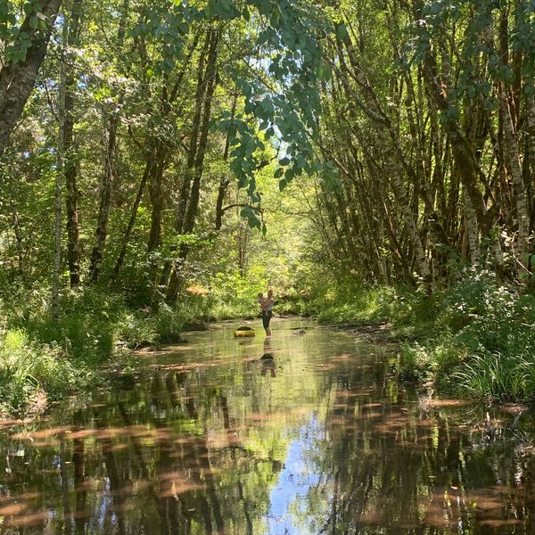 Three bodies of water, one is a quiet oasis with trees reaching over creating a magical canopy