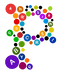 Phonics Company