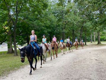 Memory Lane Stables