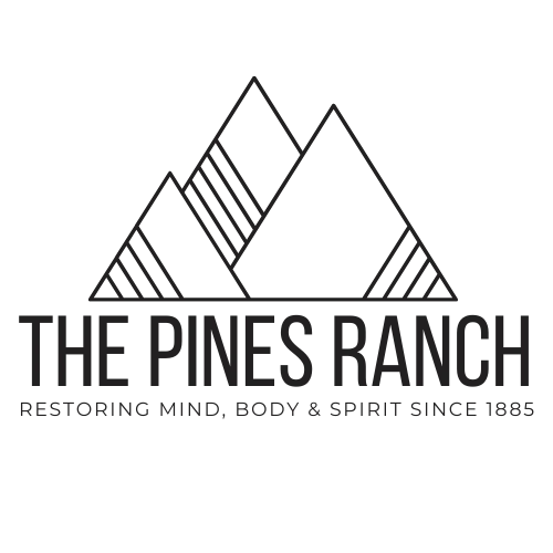 Retreats and Family Reunions - The Pines Ranch