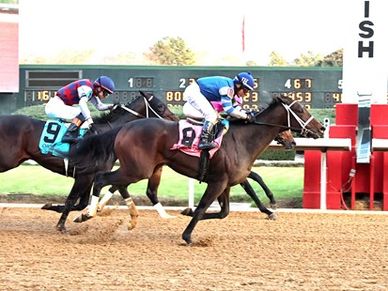 Fifty Four Yarder breaking his maiden at Oaklawn Park on December 13th, 2025