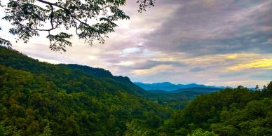 Lush green mountains under a cloudy sky at sunset.