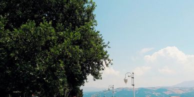 Scenic waterfront pathway with trees and street lamps under a clear sky.