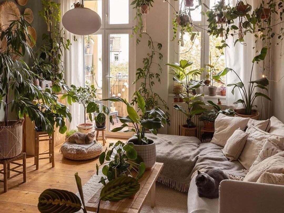 home decor