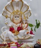 Your Ever Well Wisher