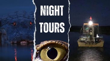 Night Tours you can purchase at Crazy Gator Airboat Tours