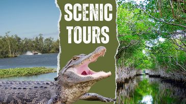 scenic tours you can purchase at Crazy Gator Airboat Tours