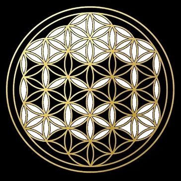 Golden Flower of Life geometric pattern on black background.