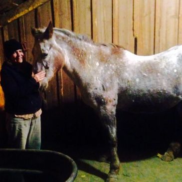 Colorado Connie and her horse Jennifer