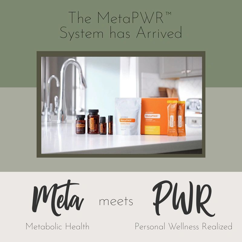 MetaPWR 