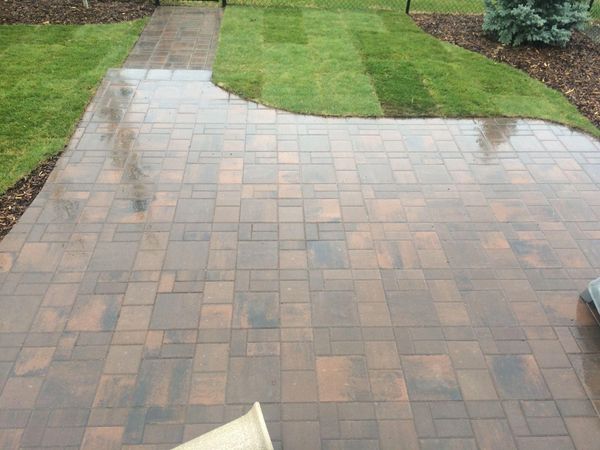 Paver Patio