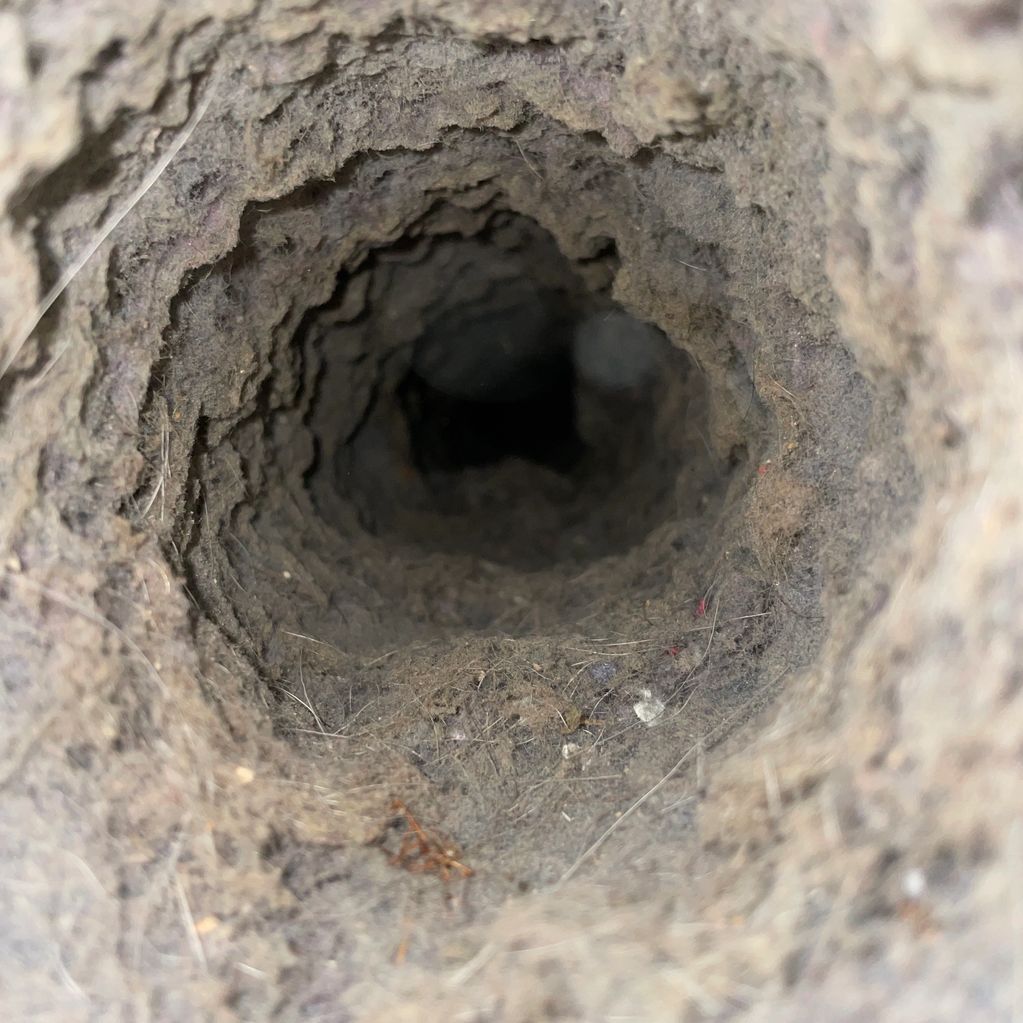 Dryer Vent Cleaning Pure Air Professional