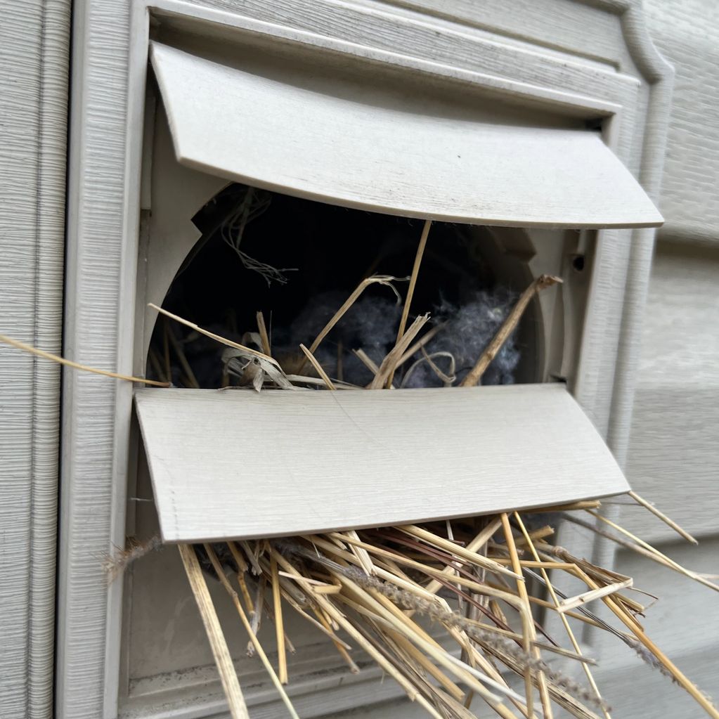 Dryer Vent Cleaning Pure Air Professional