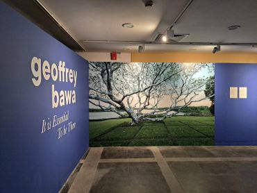 Exhibition entrance featuring large tree photograph and Geoffrey Bawa's name.
