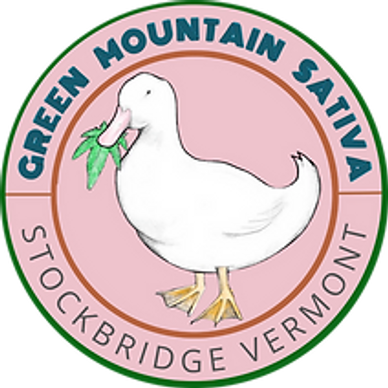 Logo of Green Mountain Sativa with a white duck holding green leaves.
