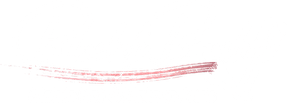 Blush and Brush Team