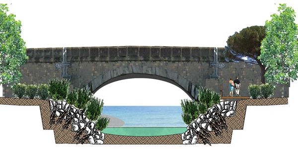 Naturalistic Engineering