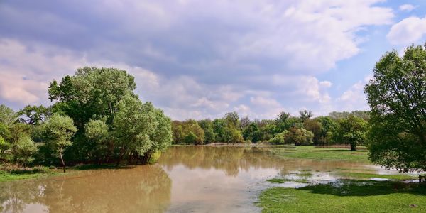Field flooding