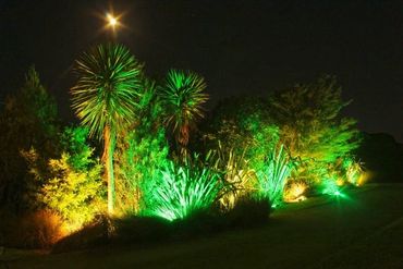 Coloured floodlighting in bushes and trees for entrance to outdoor event.