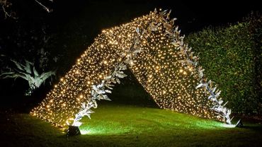 Large grand entrance fairy light tunnel arch for events setup.