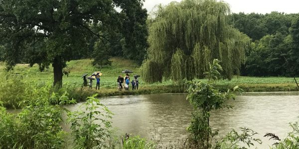 image104