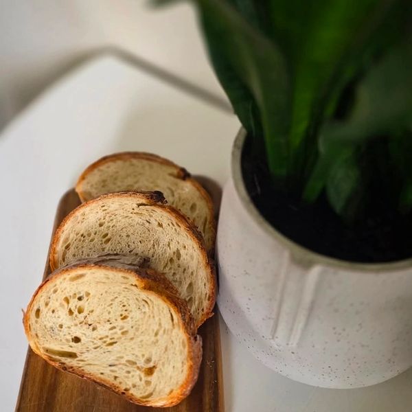 Three slices of bread on a wooden board next to a potted plant.