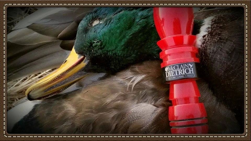 Duck Calls