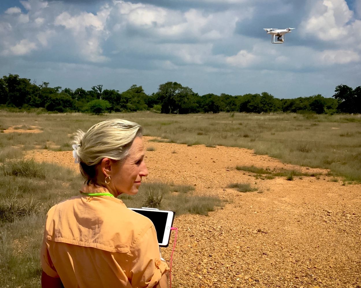 Cissy Beasley flying her DJI Phantom 4 Pro drone to photograph a ranch in South Texas.