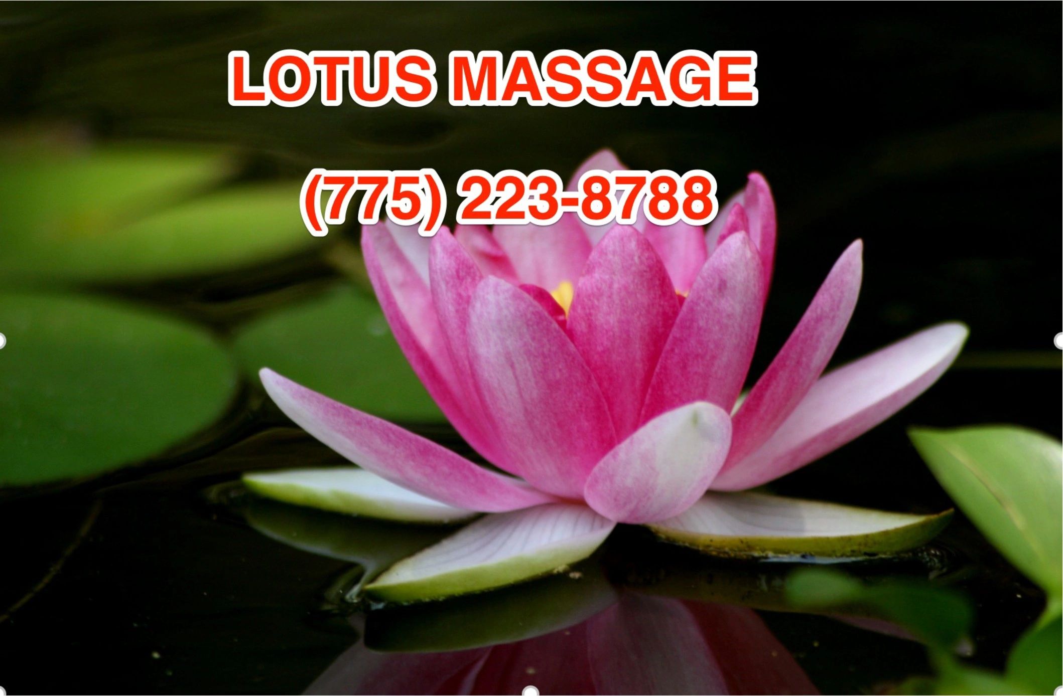 Lotus Massage - Massage, Asian Massage