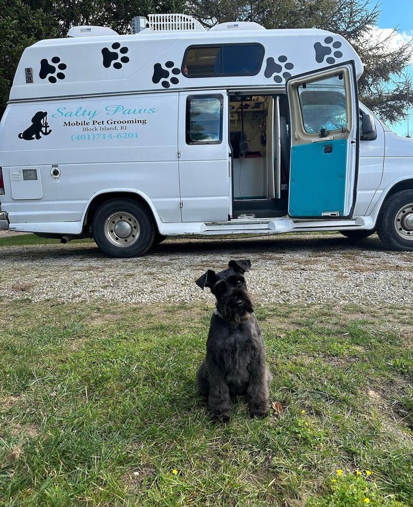 Paws mobile 2024 dog grooming