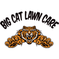 Big Cat Lawn Care