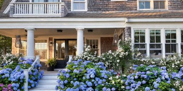 Charming house entrance with blue hydrangeas and white roses.