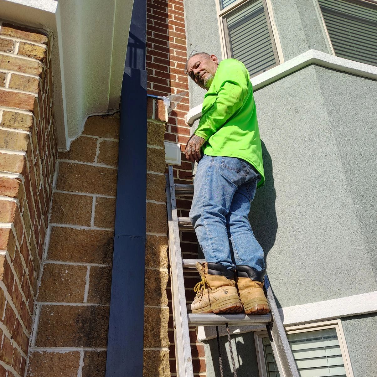 Conway bee removal and control prevention 