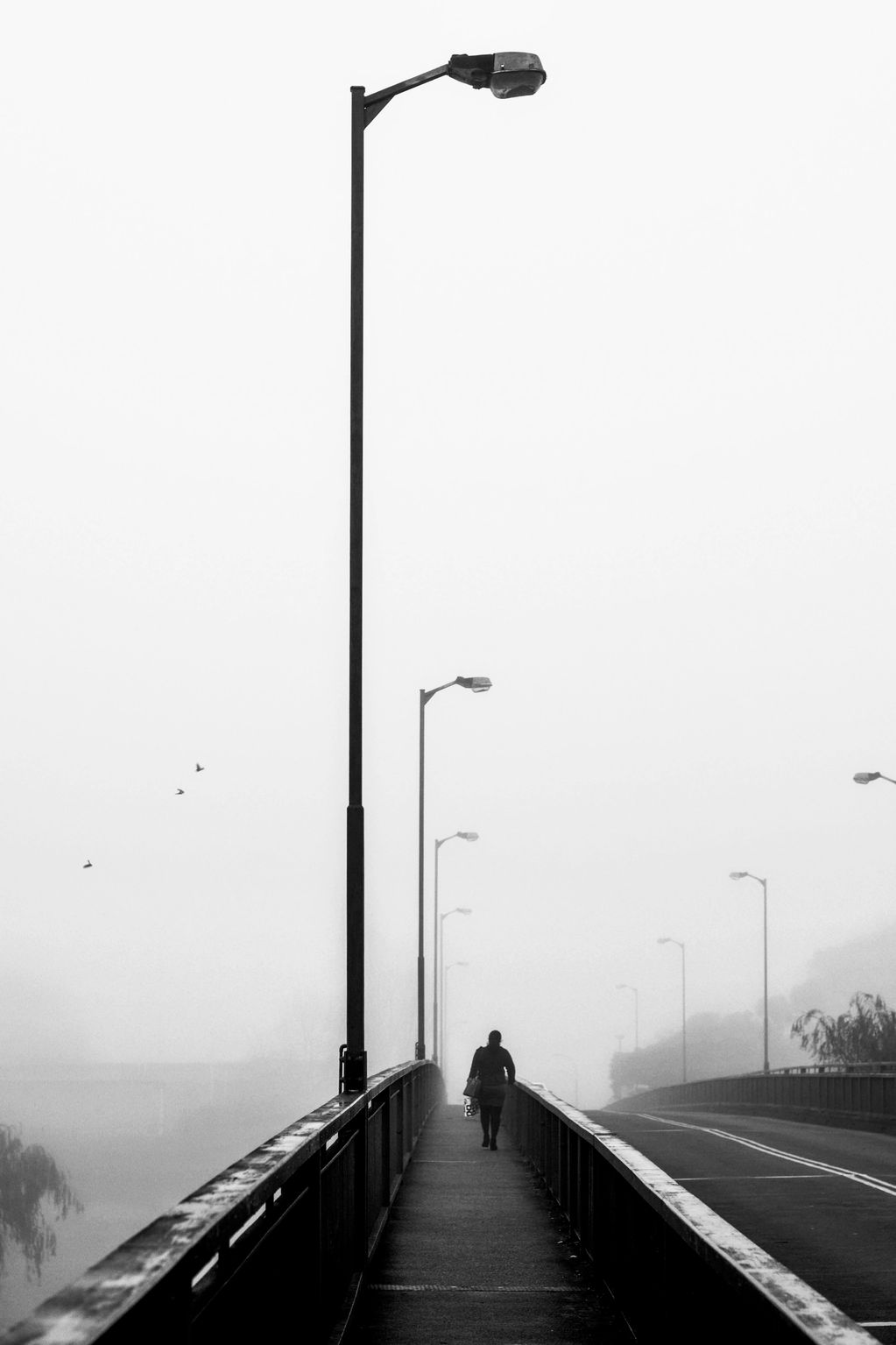 Street Photography Fine art
