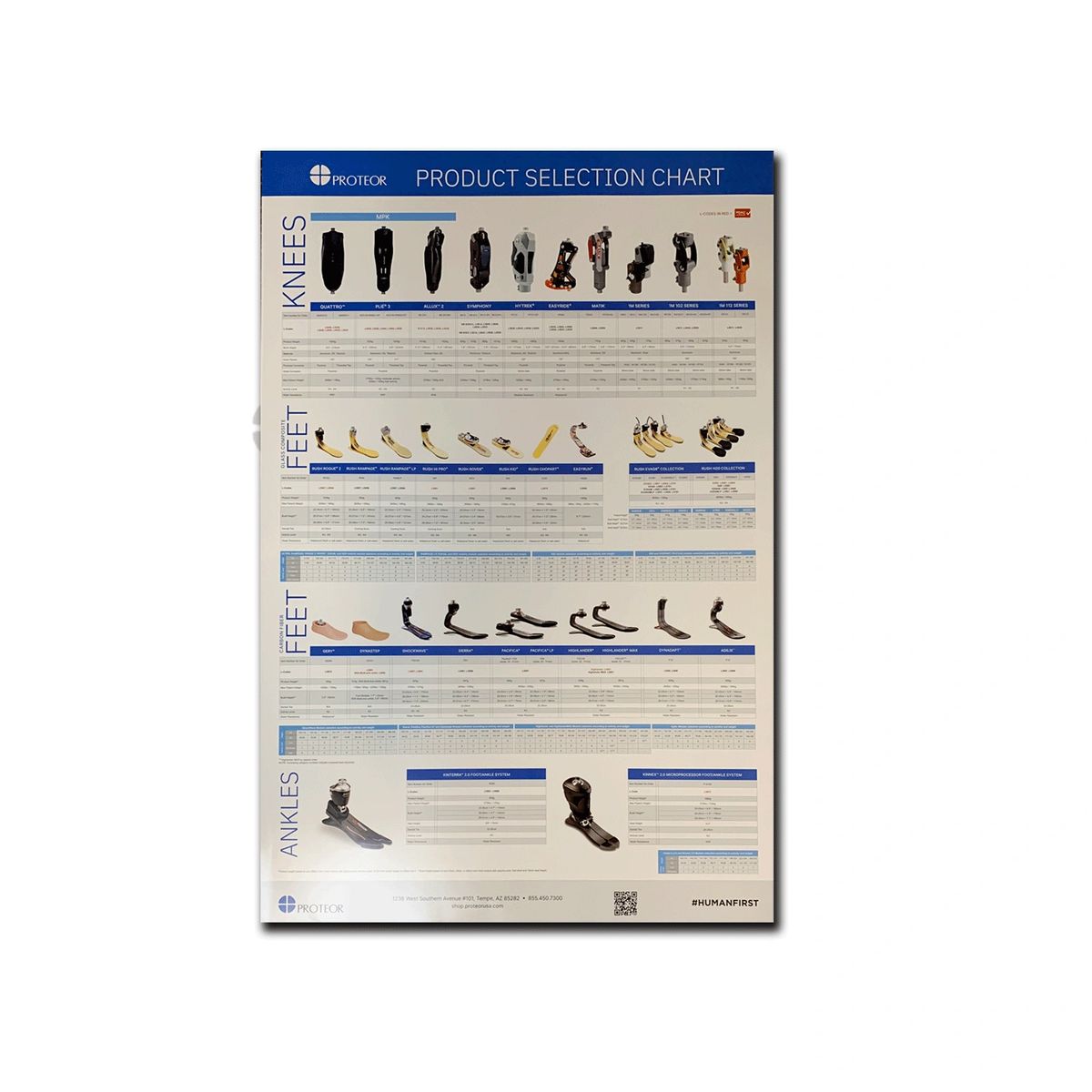 (1) 24" x 36" Proteor Selection Chart LIMIT 10