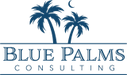 Blue Palms Consulting