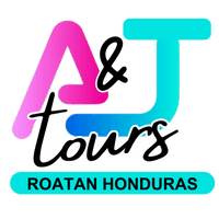 A&J Tours