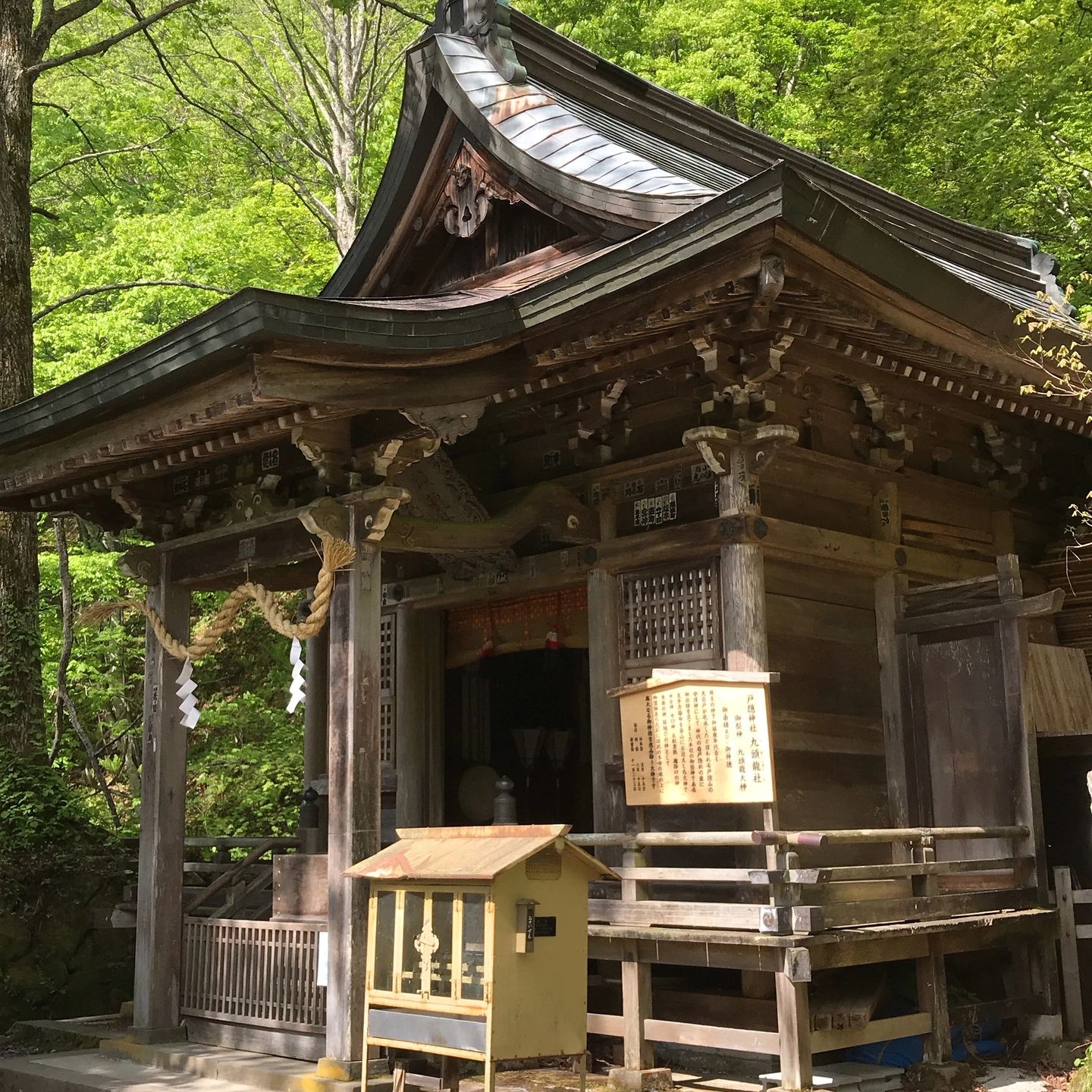 Kuzuryusha. Togakushi Jinja. Nagano. Japan.
