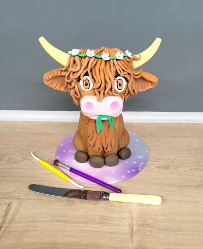 Daisy, the baby Highland cow cake!