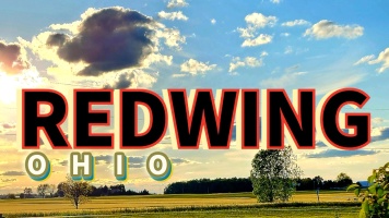 redwingohio.com 