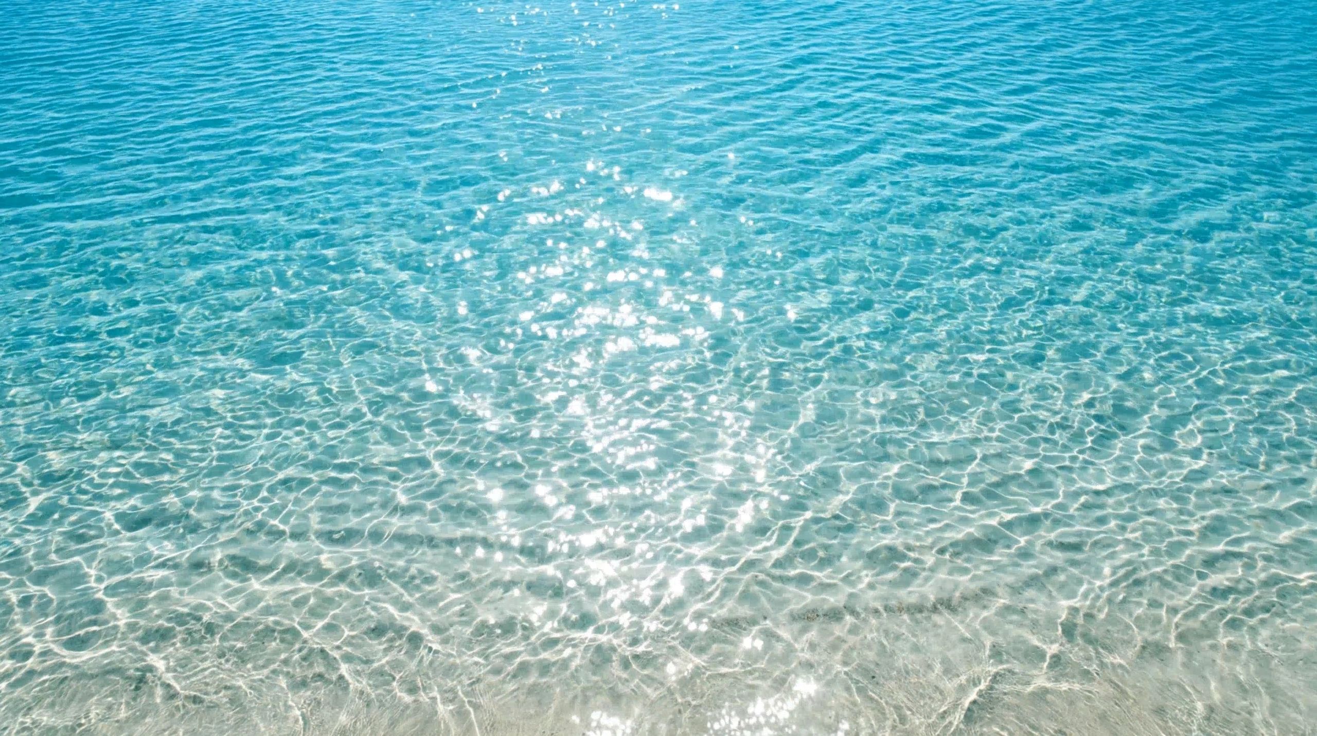 https://img1.wsimg.com/isteam/ip/38eaf4a1-aa45-4d37-9119-d8c182537151/thumbnails/thumbnail-e16608af-8d2c-4aa4-9ac5-e744a0e2c17b.png