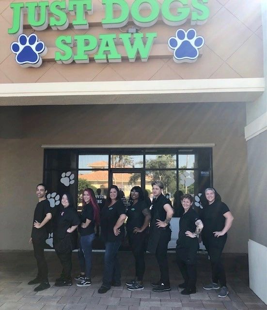 Justdogsspaw Dog Grooming, Pet Grooming, Pet Groomer