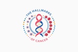 The Hallmarks of Cancer