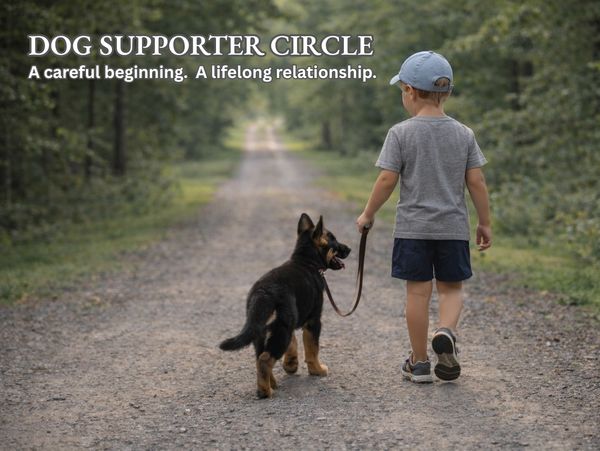 A young boy walking a German Shepherd puppy.