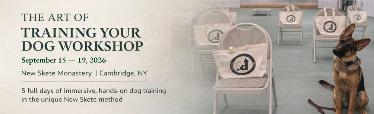 banner for workshop, chairs with canvas bags, young german shepherd dog with head tilted.