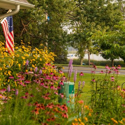 Colorful garden with wildflowers and an American flag near a house.