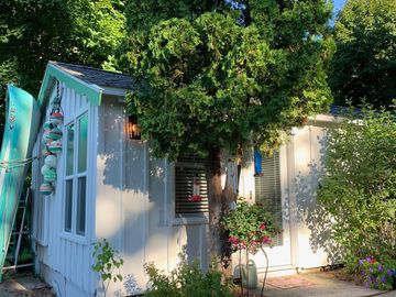 Cozy white cottage surrounded by lush greenery and colorful flowers in bright daylight.