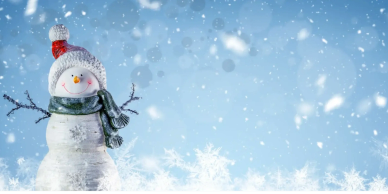 Christmas and Winter fragrance oils.