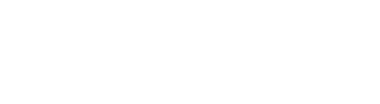 Synernetix