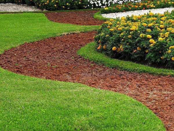 Winding mulch path by yellow marigolds